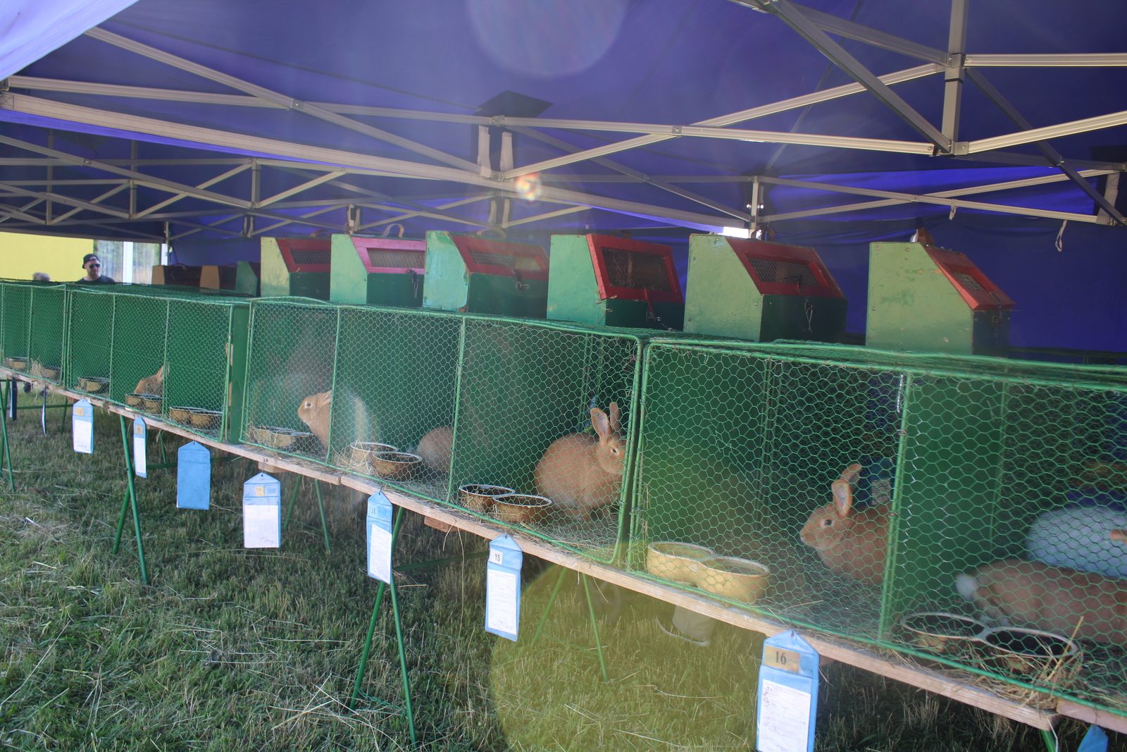 Chovatelský den 15.7.2023