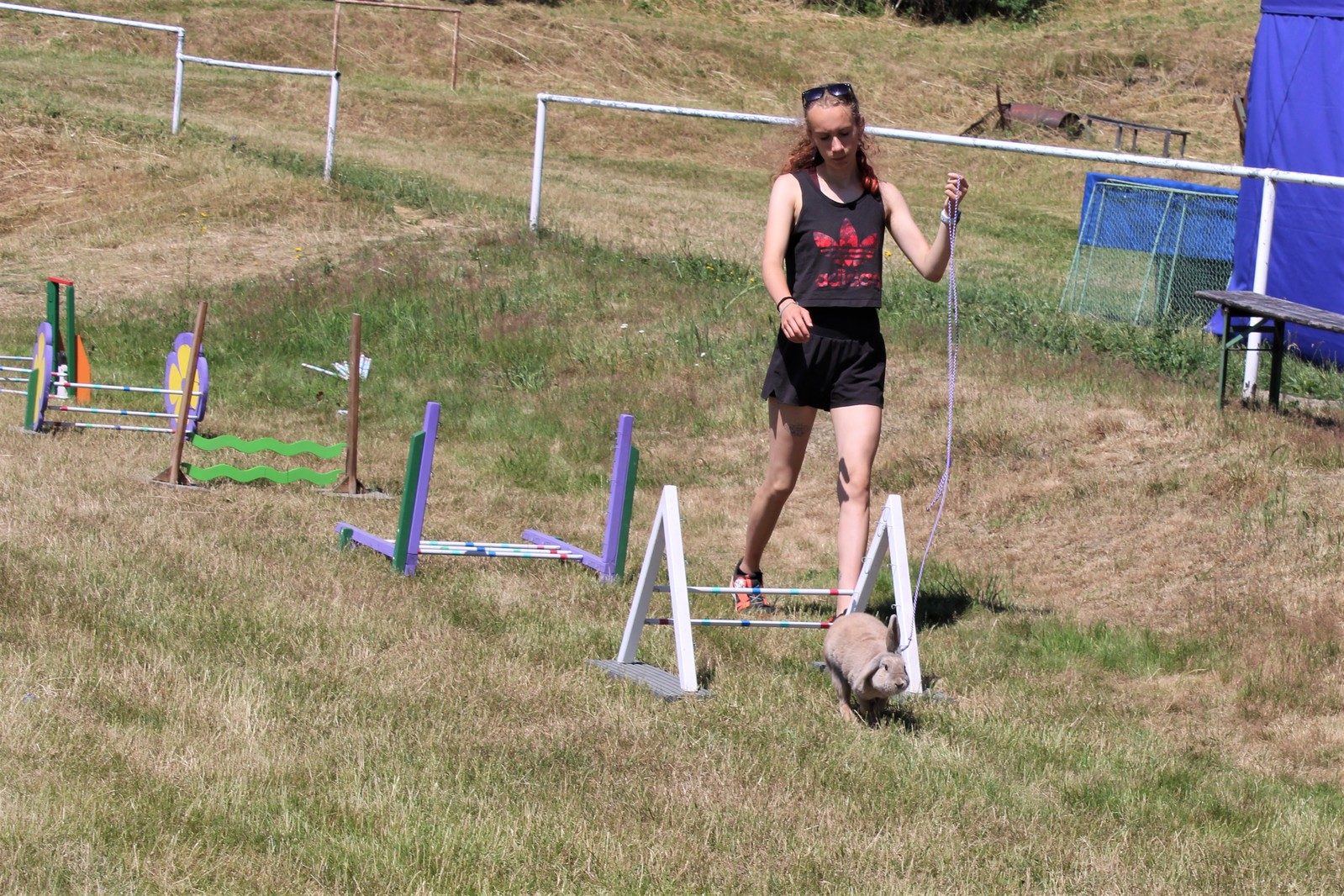 Chovatelský den 15.7.2023