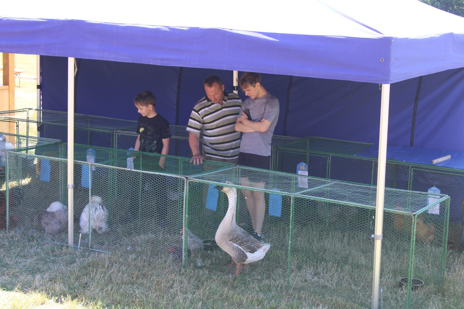 Chovatelský den 15.7.2023