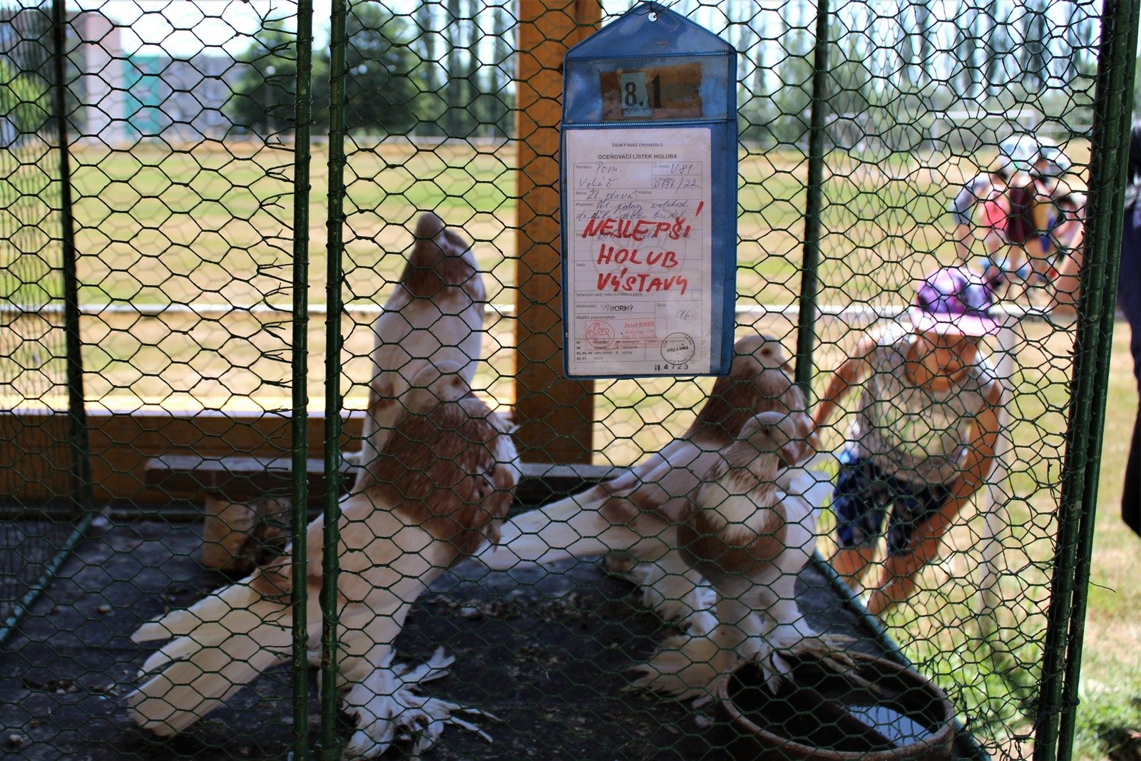 Chovatelský den 15.7.2023