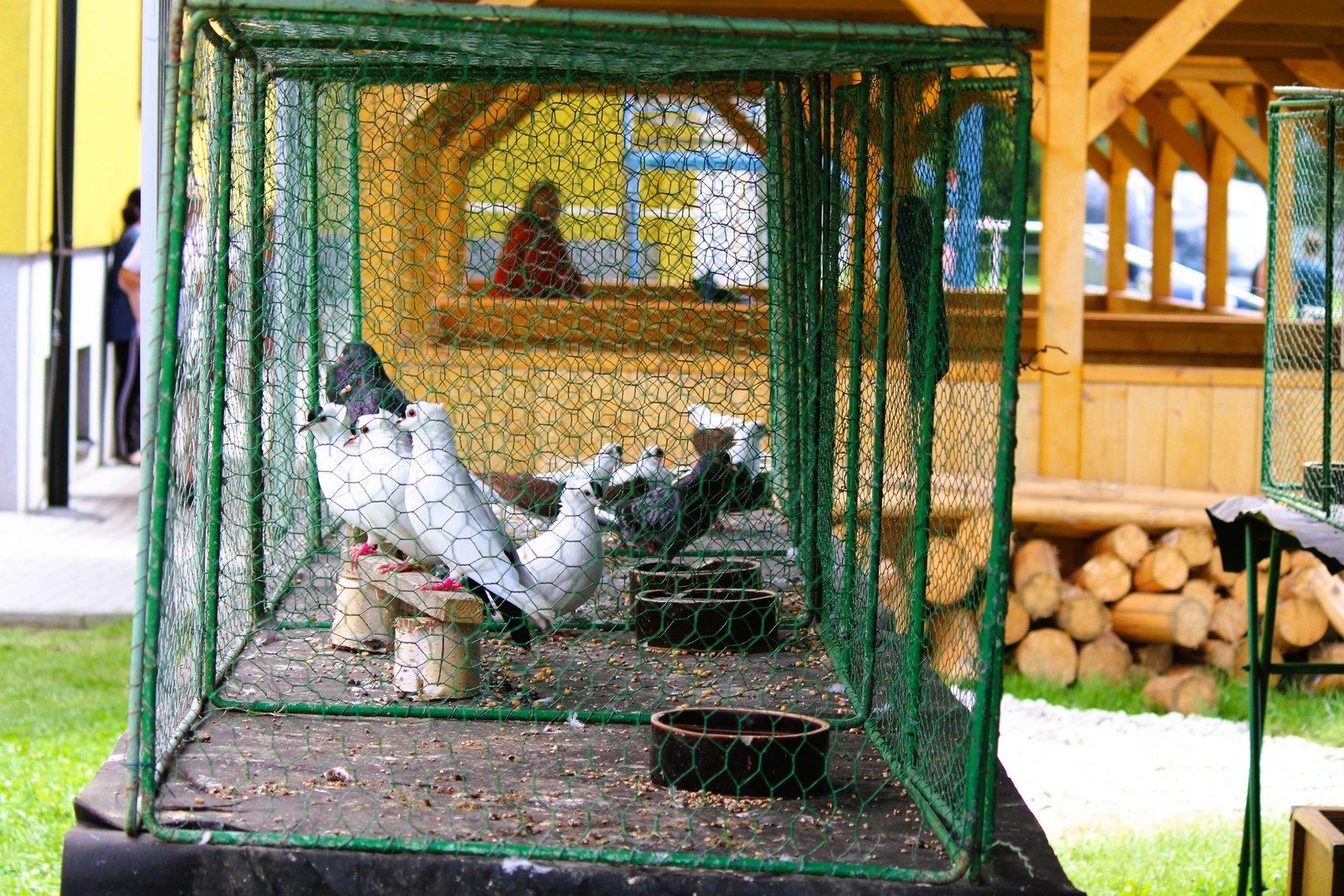 Chovatelský den 5. 7. - 6. 7.…