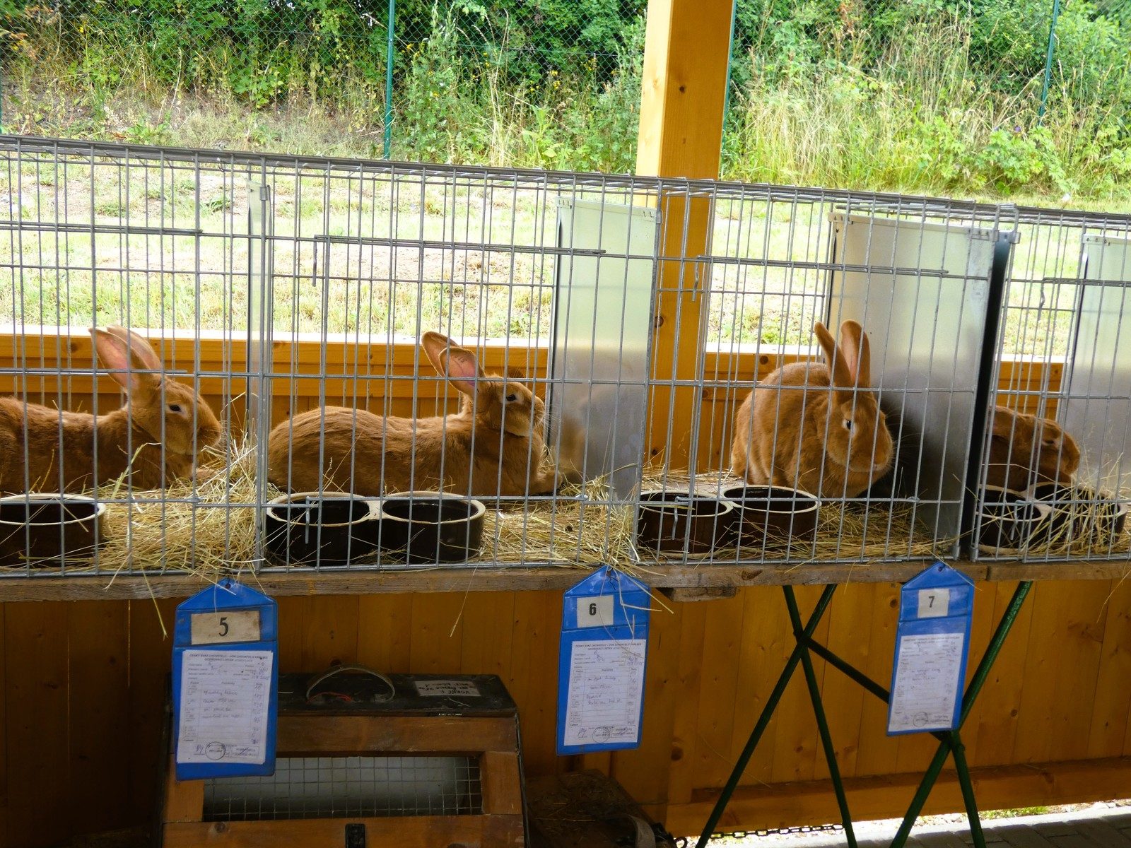 Slavnosti obce 12.7.2025