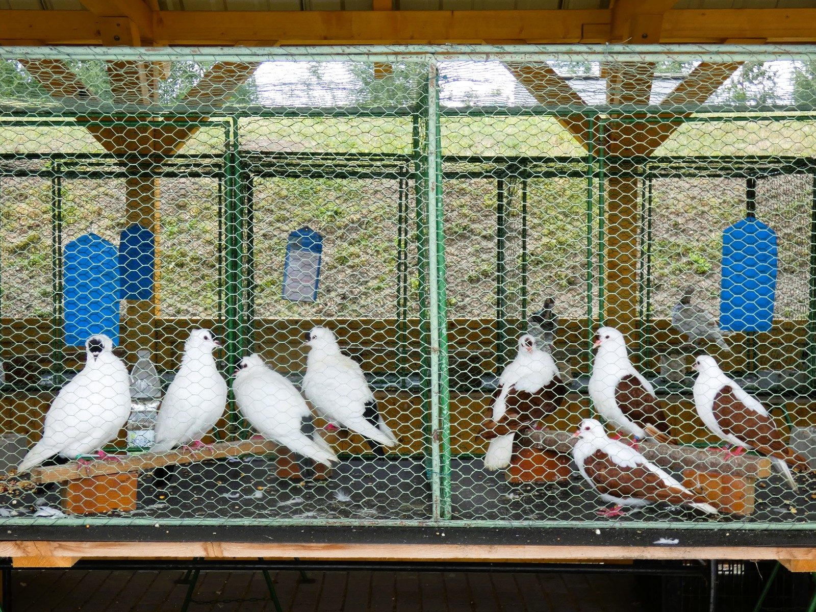 Slavnosti obce 12.7.2025