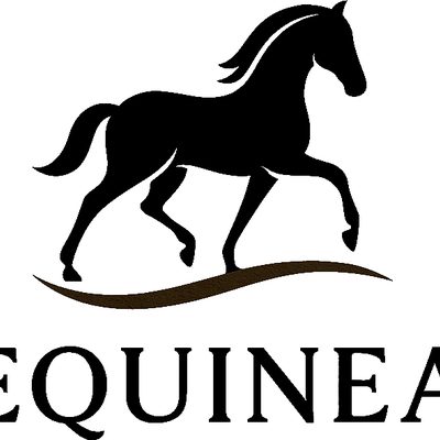 Equinea s.r.o.